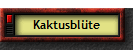Kaktusblte